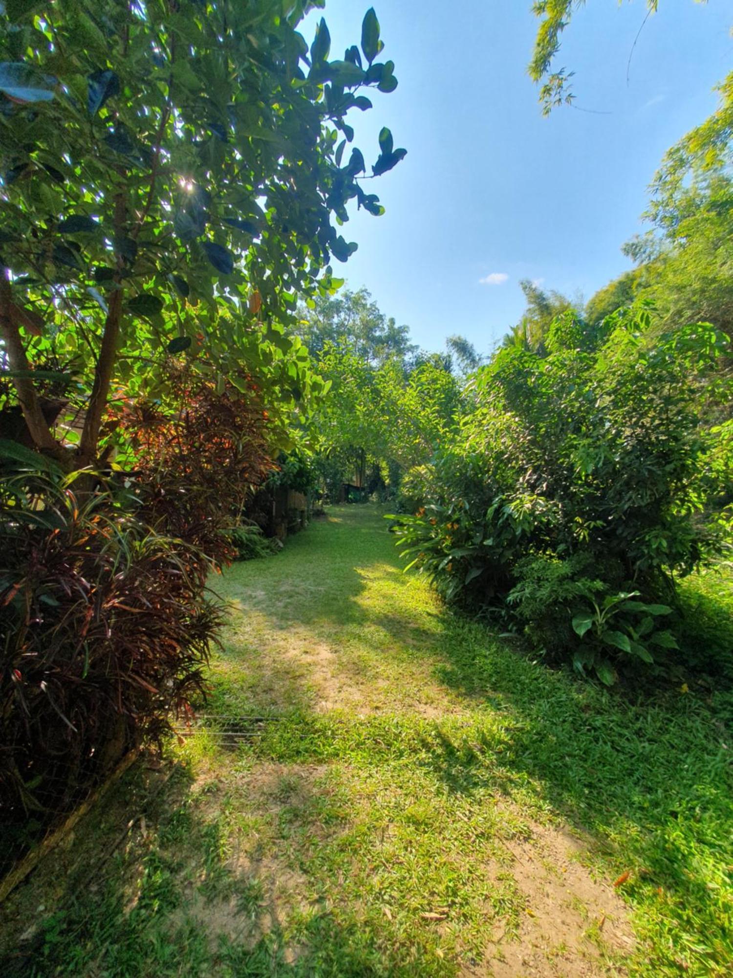 Mind'S Homestay มายด์โฮมสเตย์ Kampong Huaibu Eksteriør bilde